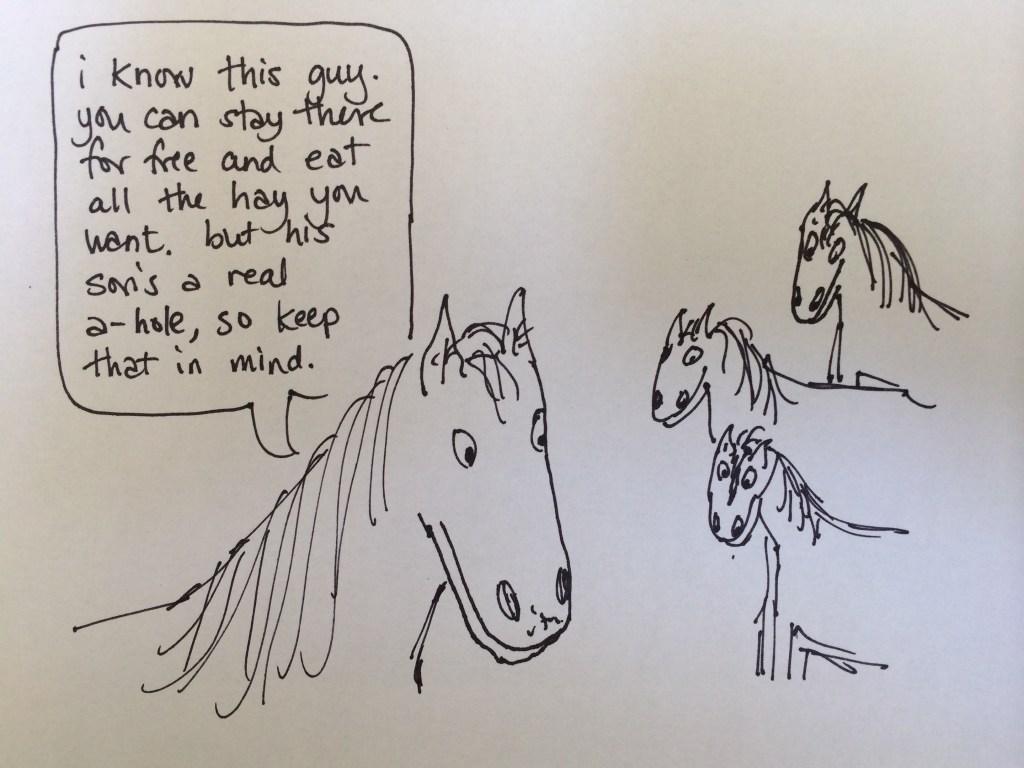 horses